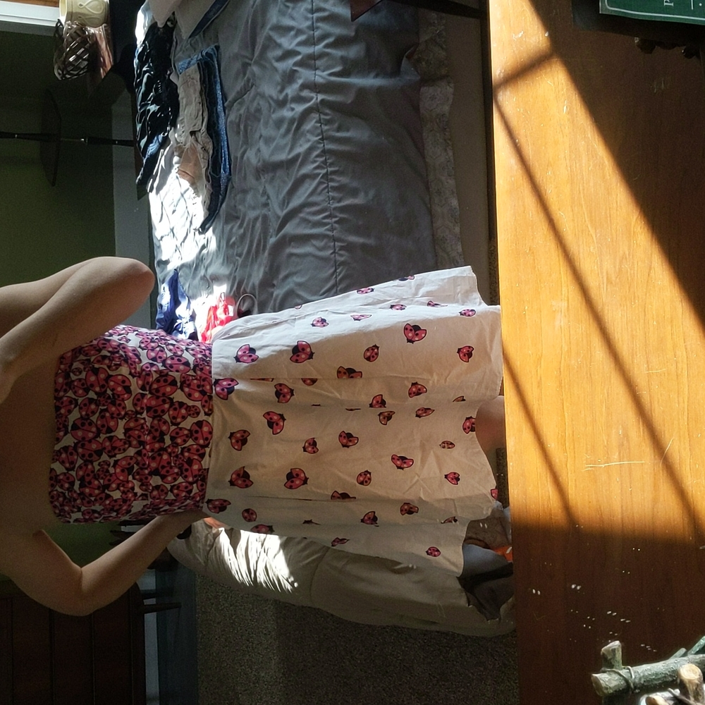 Lady bug Lily Pulitzer
